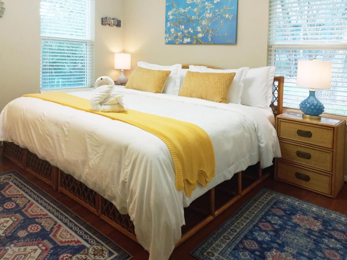 King Bed In Relaxing Oasis, With Free Snack/Wi-Fi/Parking Apartment San Marcos Exterior photo